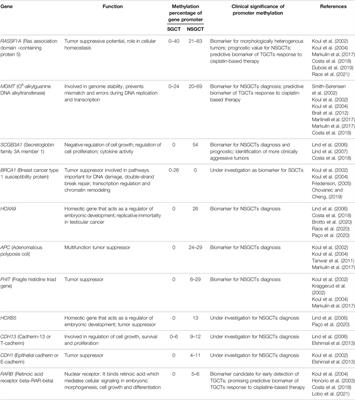 Epigenetics and Testicular Cancer: Bridging the Gap Between Fundamental Biology and Patient Care